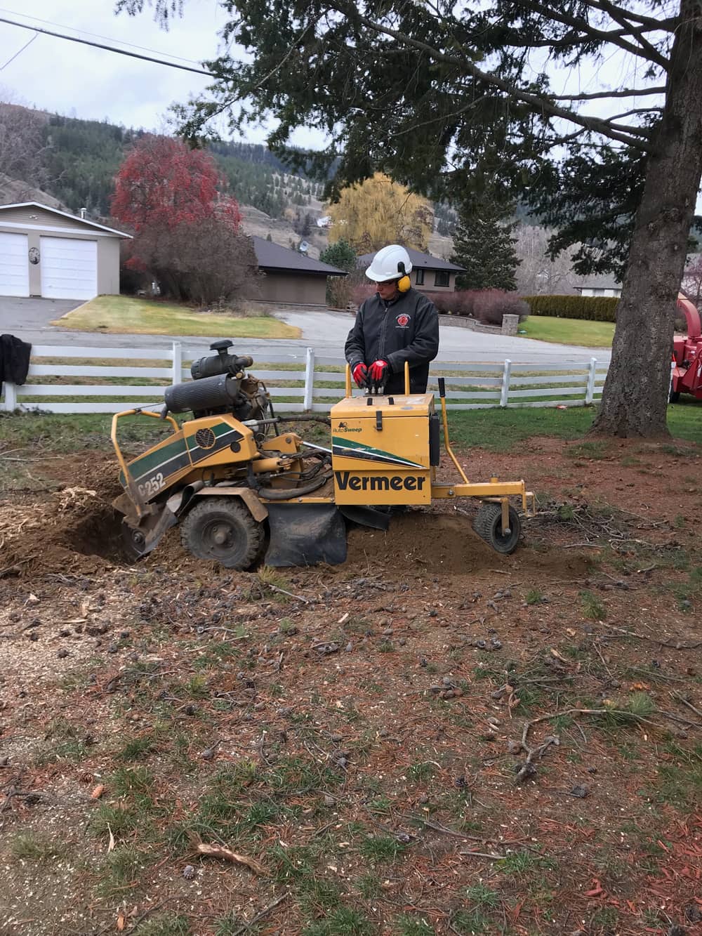 Stump Grinding