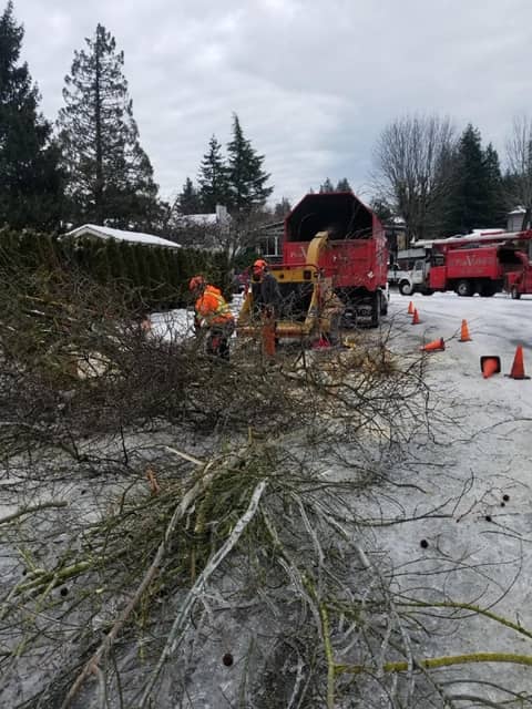 brush chipping