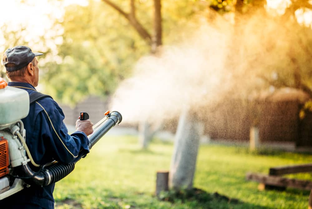 tree spraying