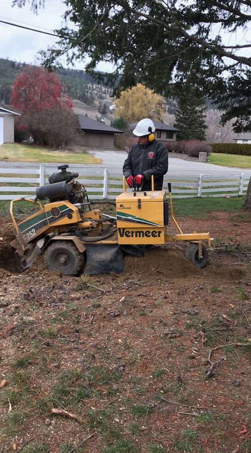 Stump Grinding