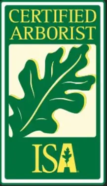ISA Certified Arborist Logo ISA Certified Arborist Logo