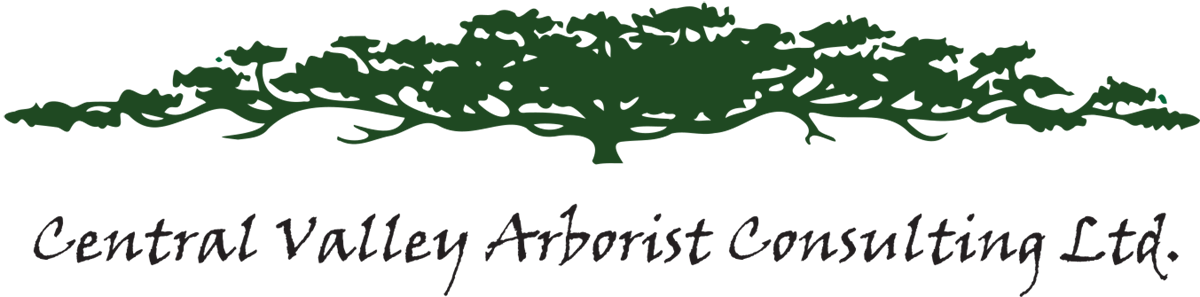 Centra Valley Arborist Consulting