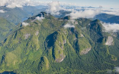 The Great Bear Rainforest