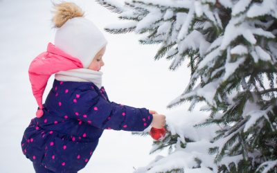 Outdoor Christmas Trees