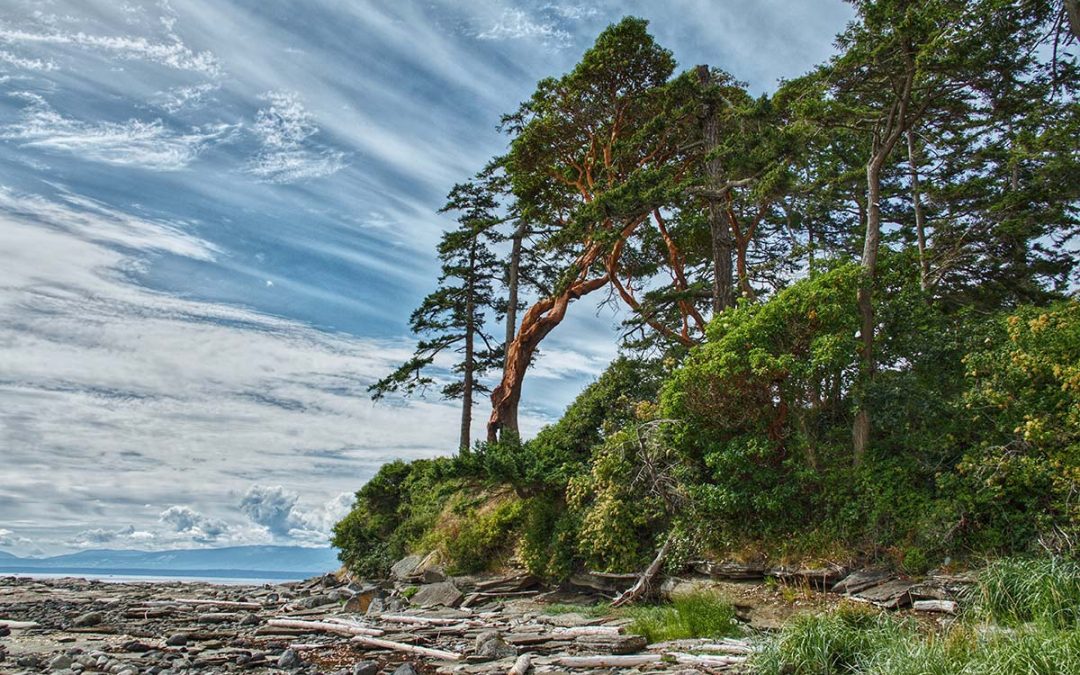 Endangered Tree Species in BC