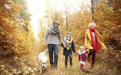 Why Forests Smell Fresh in the Autumn