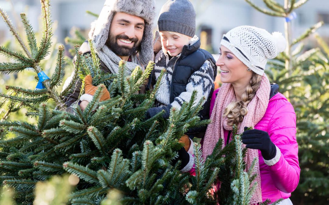 Family buying Christmas tree on market