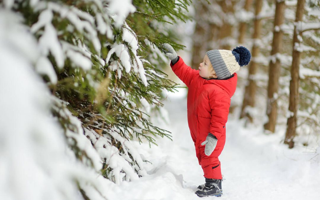 toddler boy having fun on a walk in snow