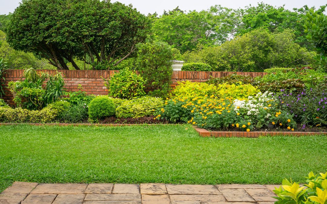 Backyard English cottage garden